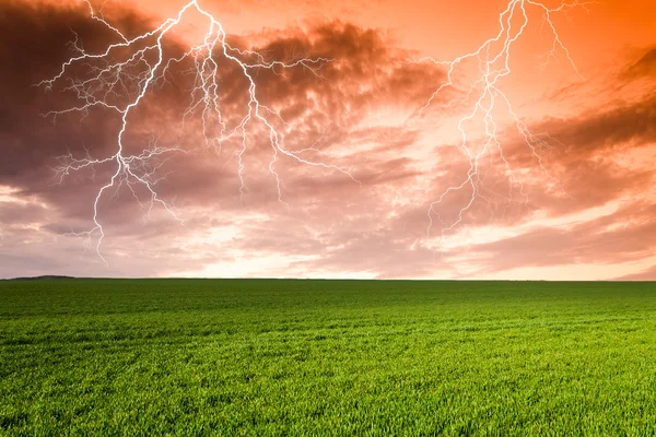 Thunderstorm with lightning in green meadow