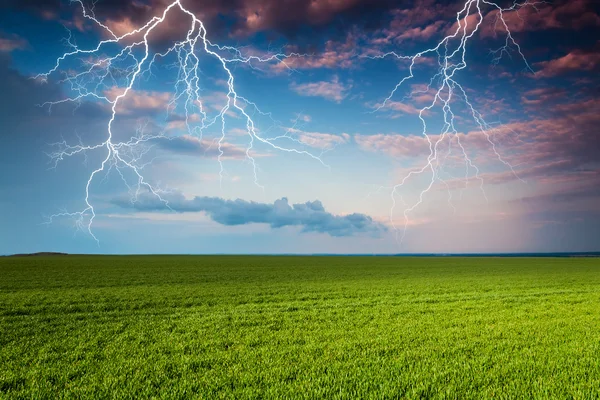 Гроза с молнией на зеленом лугу — стоковое фото