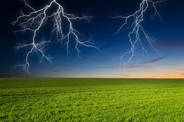 Thunderstorm with lightning in green meadow