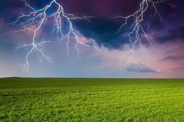 Bouřka s blesky na zelené louce — Stock fotografie