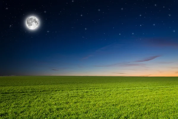 Campo verde na noite — Fotografia de Stock