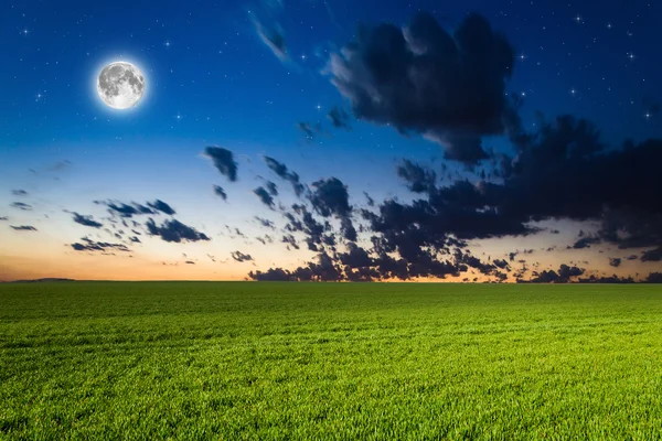 Groen veld in de nacht — Stockfoto