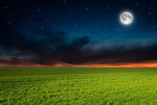 Green field in the night — Stock Photo, Image