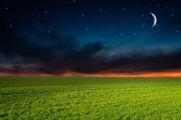 Grüne Wiese bei Nacht — Stockfoto