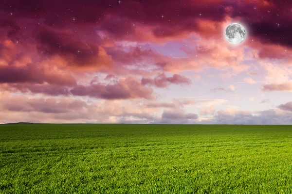 Green field in the night — Stock Photo, Image