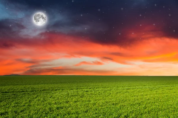 Green field in the night — Stock Photo, Image