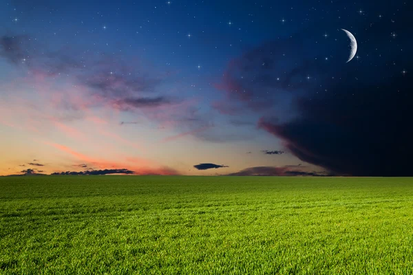 Campo verde à noite — Fotografia de Stock