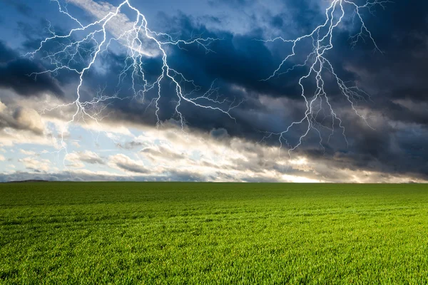 Gewitter mit Blitz auf grüner Wiese lizenzfreie Stockbilder