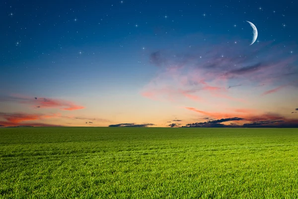 Green field at night — Stock Photo, Image