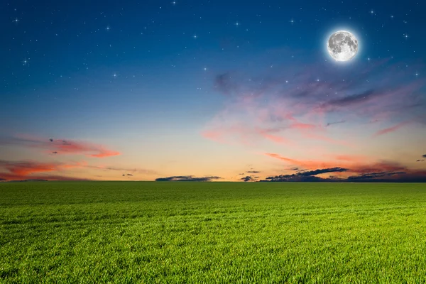 Groen veld 's nachts — Stockfoto
