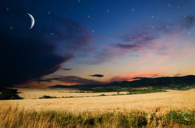 buğday arazi gece