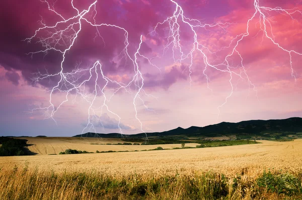 Tempesta in terra di grano — Foto Stock