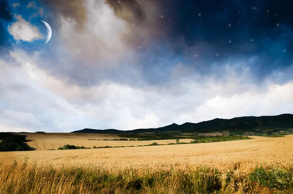 Wheat in the night — Stock Photo, Image