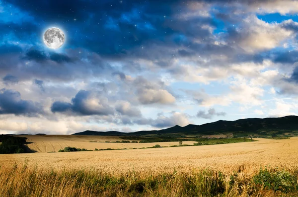 Pšenice v noci — Stock fotografie