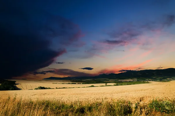 Wheat land at night — Stock Photo, Image