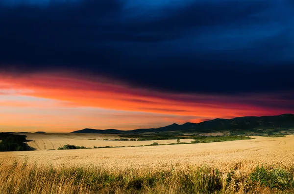 Wheat land at night — Stock Photo, Image