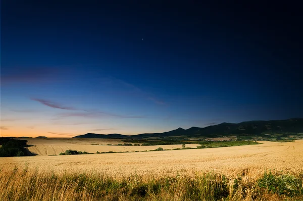 Wheat land at night — Stock Photo, Image