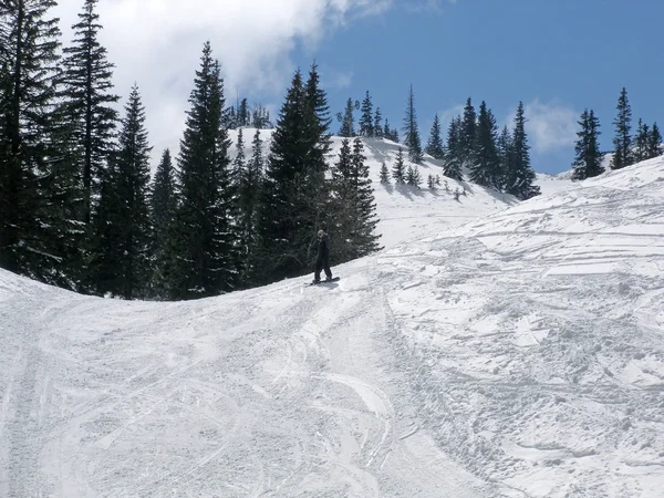 Jahorina hora — Stock fotografie