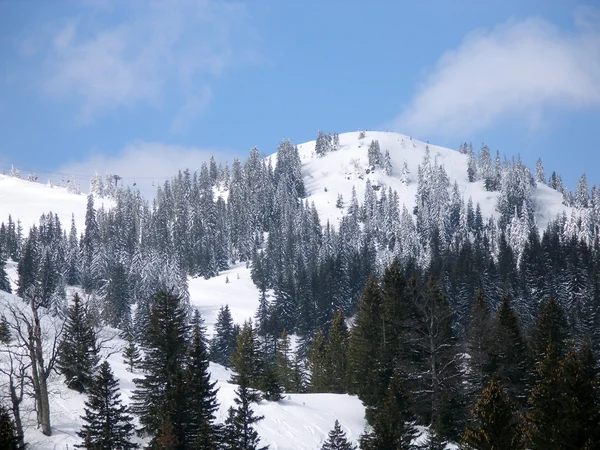 Jahorina Mountain Stock Picture