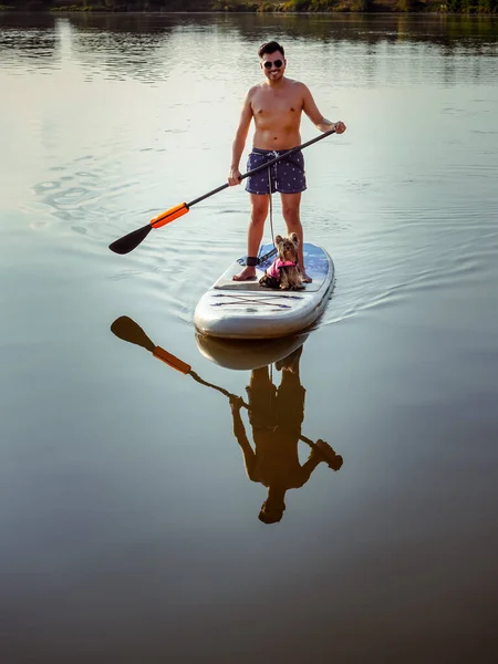 Young Person Stand Paddle Board His Small Yorkshire Terrier Swimming — Stock Photo, Image