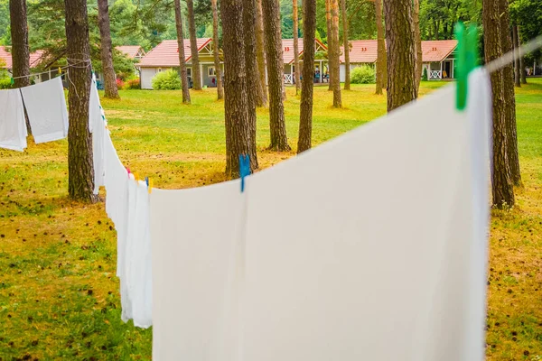 在森林夏令营的室外松树间挂着新的白色洗衣房的近照 重点放在背景上 — 图库照片
