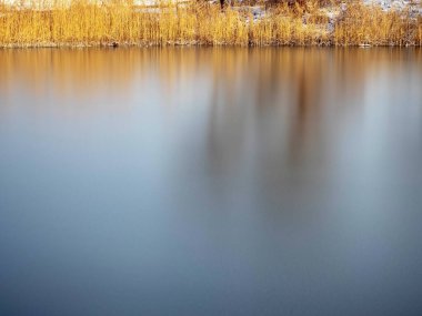frozen lake and dry reeds on a shore in a winter season