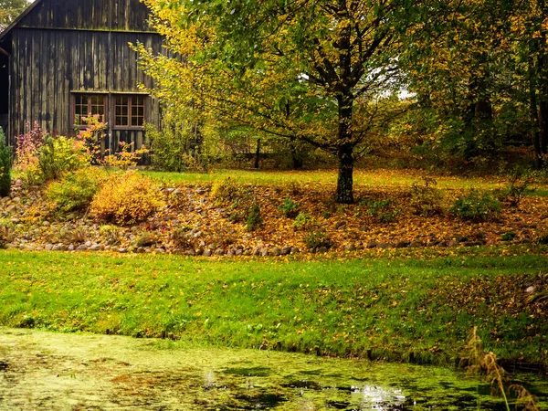 black wooden old hut on a backyard of a countryside farm in autumn golden foliage season