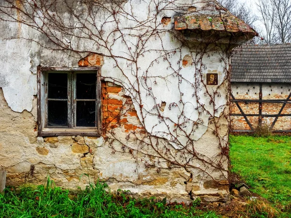 Εγκαταλελειμμένο Παλιό Εξοχικό Σπίτι Ραγισμένους Τοίχους Κισσό Αυτό — Φωτογραφία Αρχείου