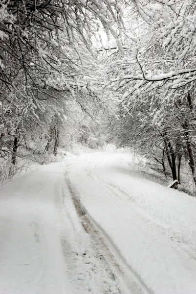 Winter road — Stock Photo, Image