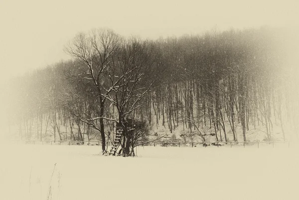 Manhã de inverno nas montanhas - Vintage — Fotografia de Stock