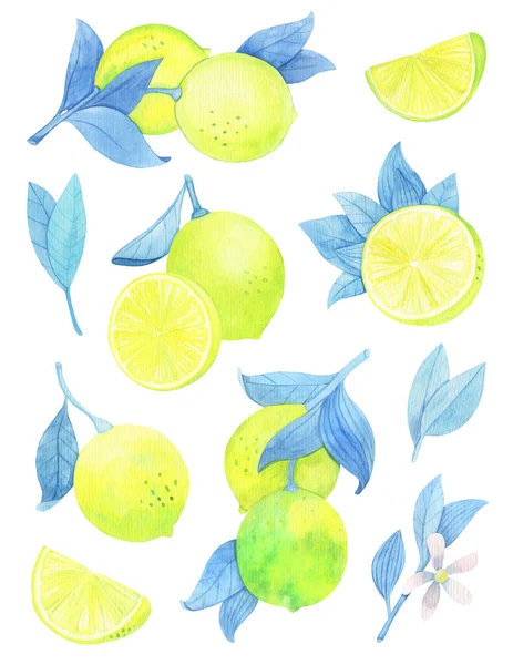 Watercolor Lemon Set Isolated Slices Yellow Blue Color Hand Drawn — Stock Photo, Image