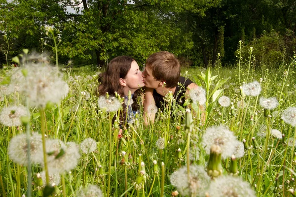 Dois lindos — Fotografia de Stock