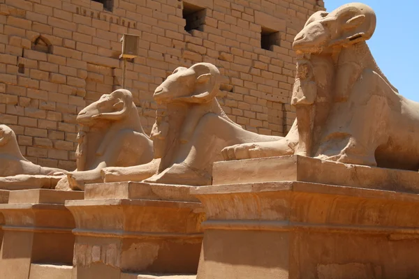 Karnak temple — Stock Photo, Image