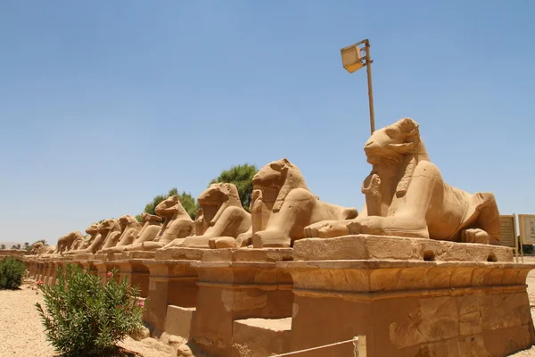 Karnak temple — Stock Photo, Image
