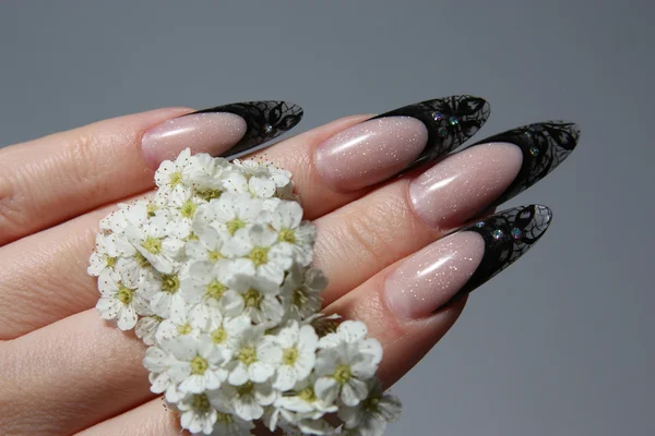 Beautiful Female Hands.Manicure concept — Stock Photo, Image