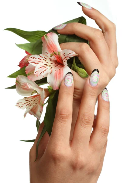 güzel kadın hands.manicure kavramı