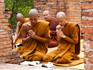 Visakha puja gün