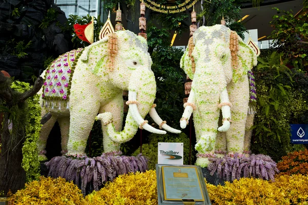 El evento de la orquídea —  Fotos de Stock