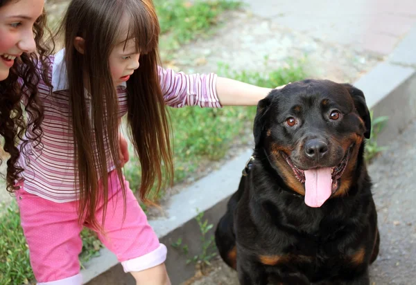 Little girl with a big black dog — Stock Photo, Image