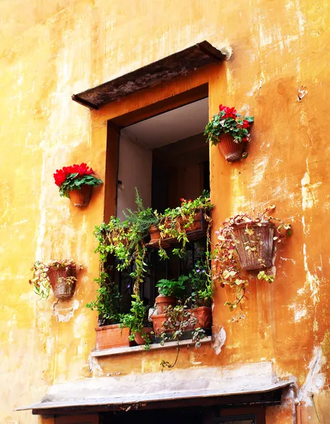 Okno z kwiatami w Rzymie. — Zdjęcie stockowe