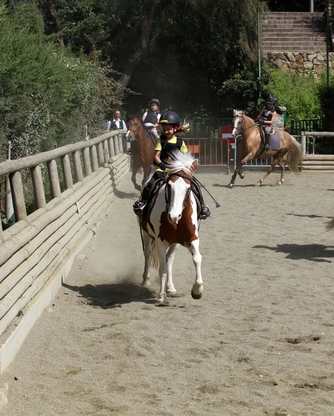 Children's competitions in equestrian on June 29, 2013 in Barcelona, Spain. — Stock Photo, Image