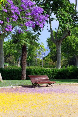tezgah güzel montjuic Park Barcelona, İspanya