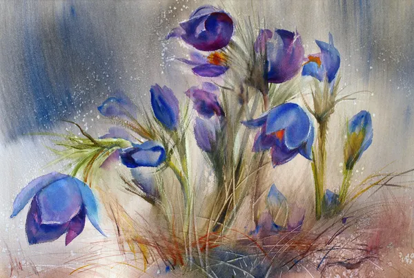Akvarell, a szép tavaszi virágok. — Stock Fotó