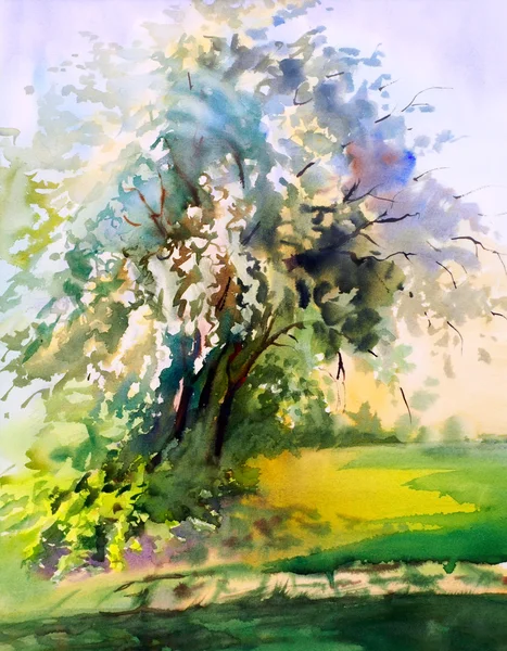 फूलदार वसंत पेड़ के वाटर कलर पेंटिंग — स्टॉक फ़ोटो, इमेज