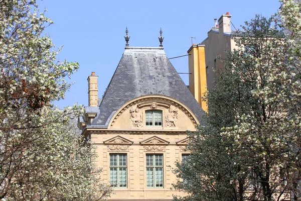 Altbau in Paris im Frühjahr. — Stockfoto