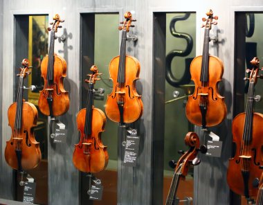 Andrea ile yapılmış en ünlü keman Amatin, nicolo Amatin, antonio stradivari, giuseppe guarneri, jacob stalner Müzesi'nde cite de la musique tarafından