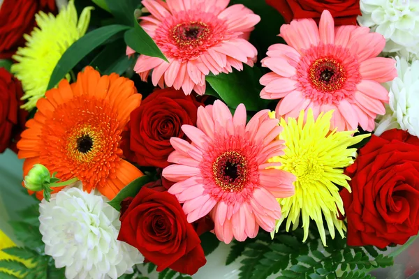 Schöne Blumen Hintergrund — Stockfoto