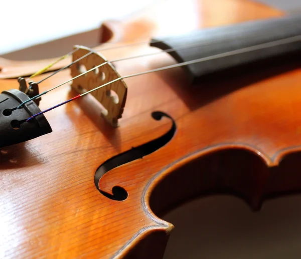 Feche o tiro de um violino — Fotografia de Stock