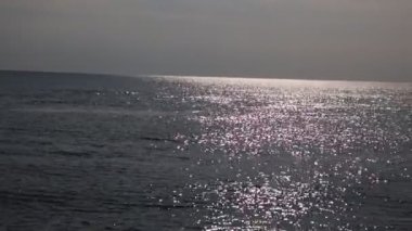 Karadeniz 'deki Ukrayna' daki Kinburn Tükürüğündeki Yunuslar