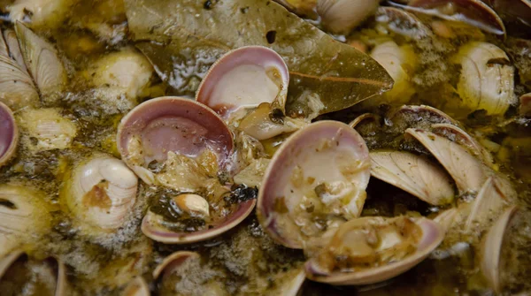 Маринованные моллюски — стоковое фото